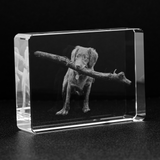 Personalized Crystal Rectangle with your Photo Image